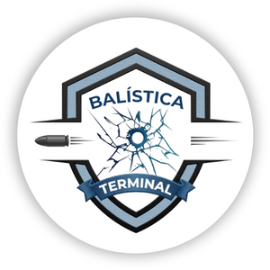 web.balisticaterminal.com.ar